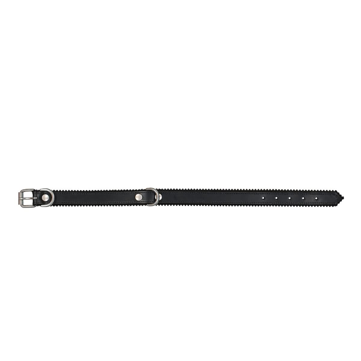 Dog Collar