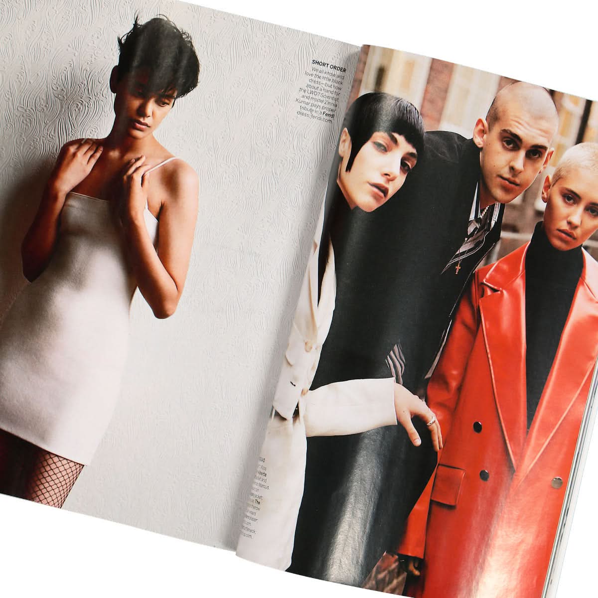 Magazine - Image 4