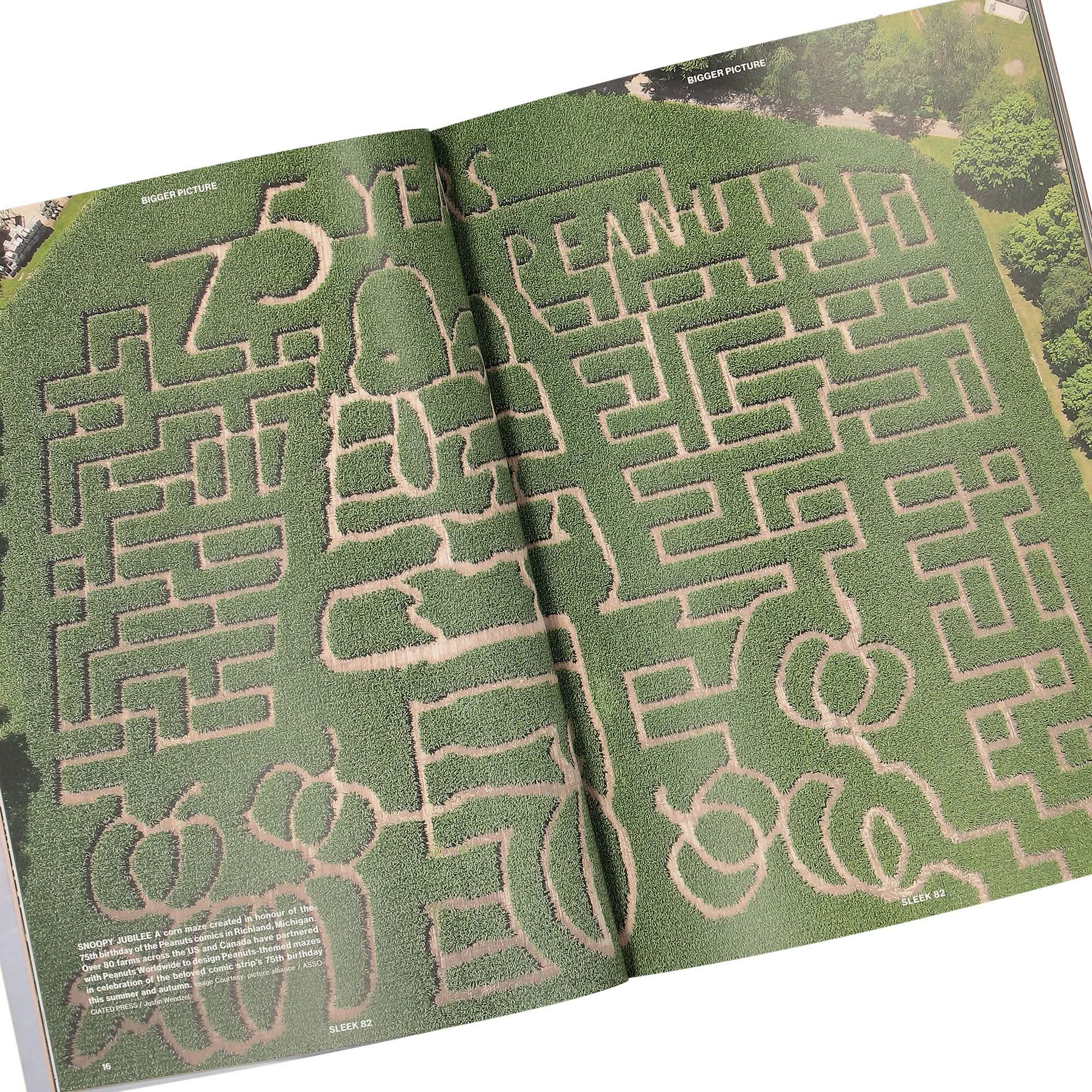 Magazine Issue 82 - Image 3
