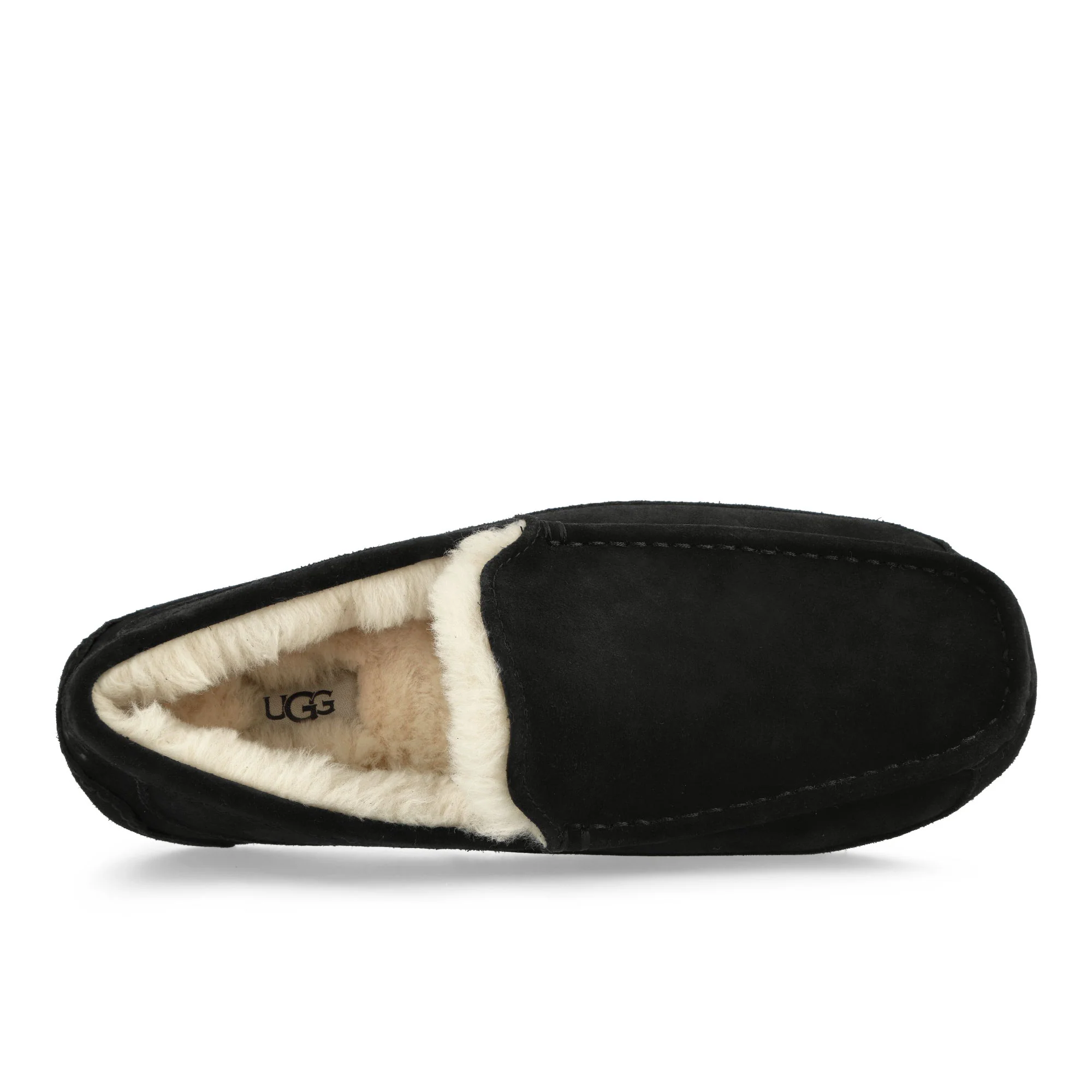 M Ascot - Image 6