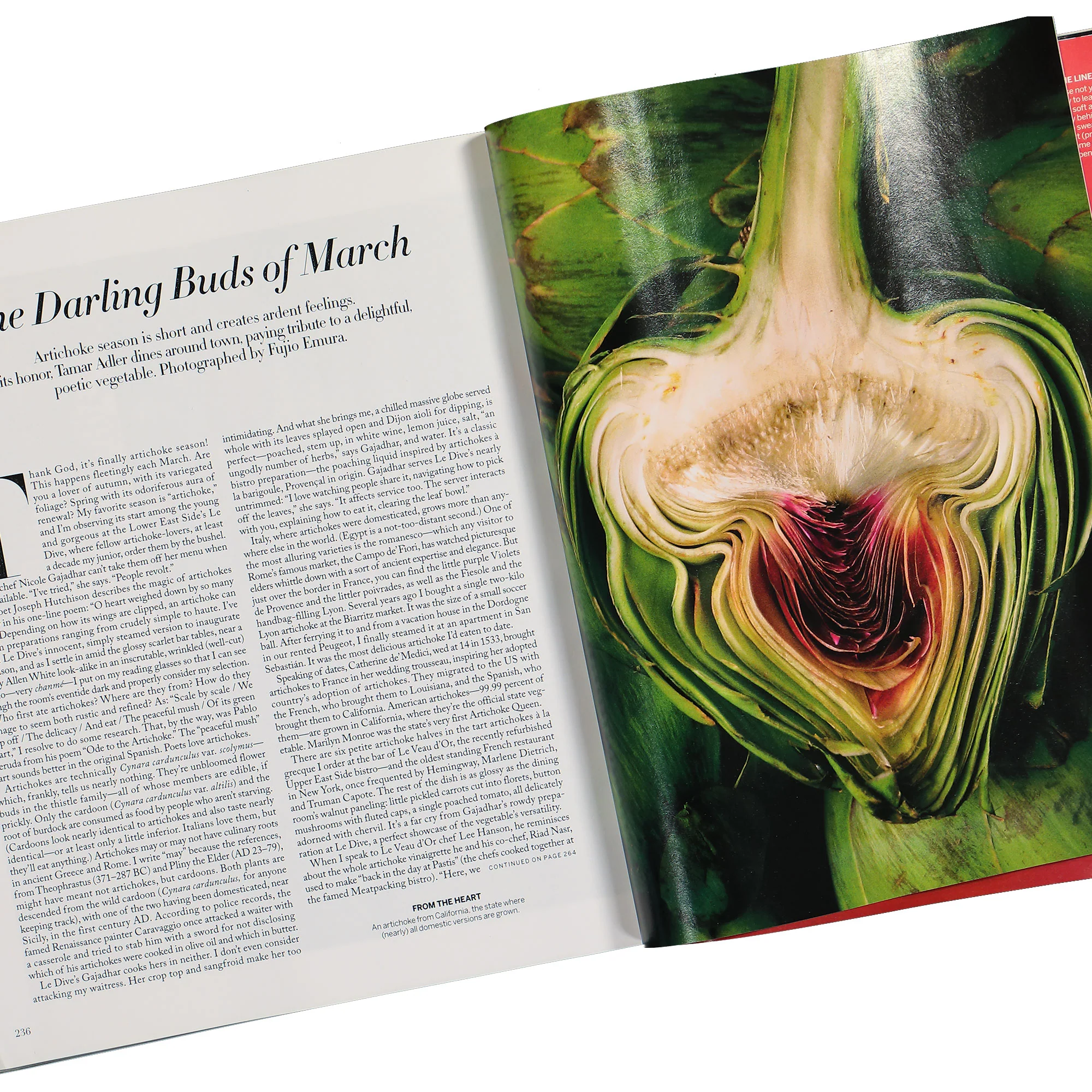 Magazine March 2025 - Image 7